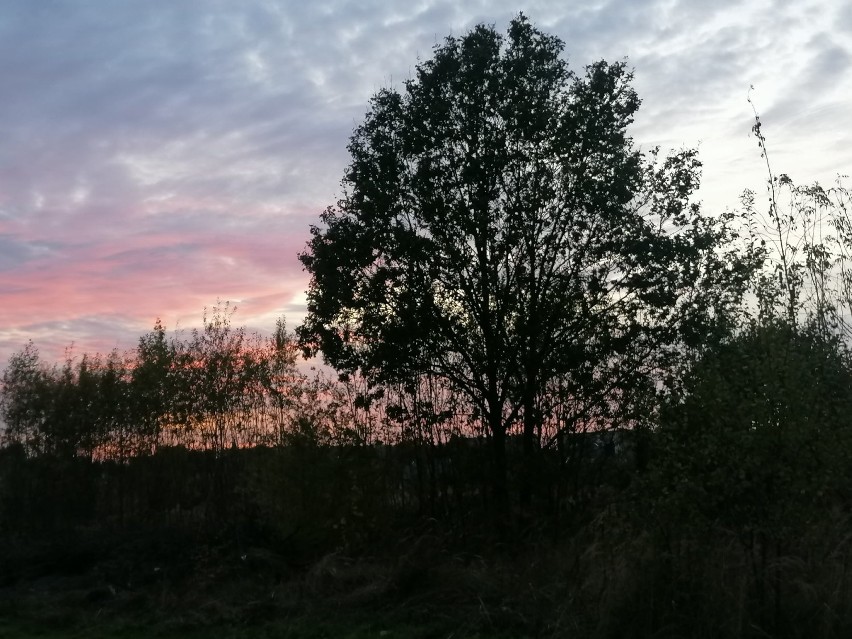 Zdjęcie w konkursie "Gmina Zelów w obiektywie"