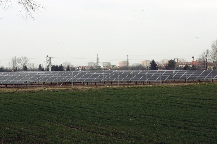 W Legnicy powstaje pierwsza taka elektrownia słoneczna [ZDJĘCIA]