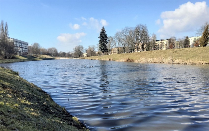 Dolina rzeki Łódki w rejonie Akademii Sztuk Pięknych. Więcej...