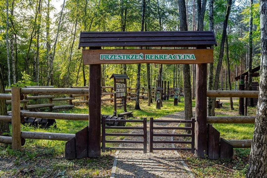 Park edukacyjno-rekreacyjny  „Edukacja  leśna”  w...