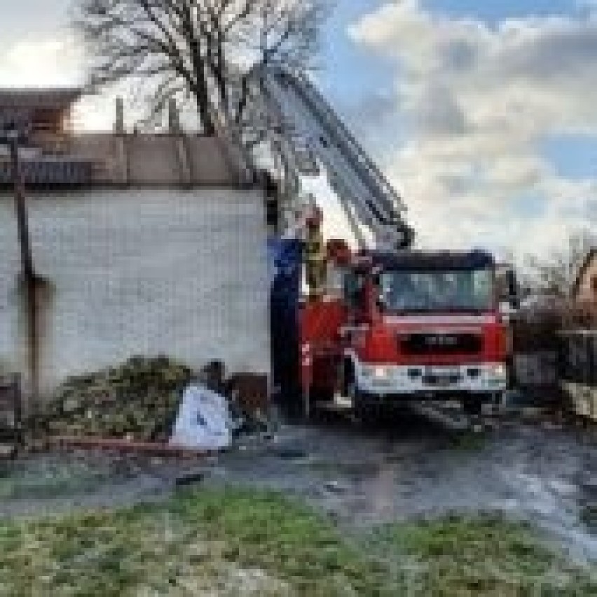 Strażacy walczą ze skutkami silnego wiatru na Lubelszczyźnie                              