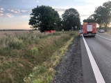 Tragedia na  trasie krajowej nr 24 w Gorzyniu. Nie żyje 31-latek!