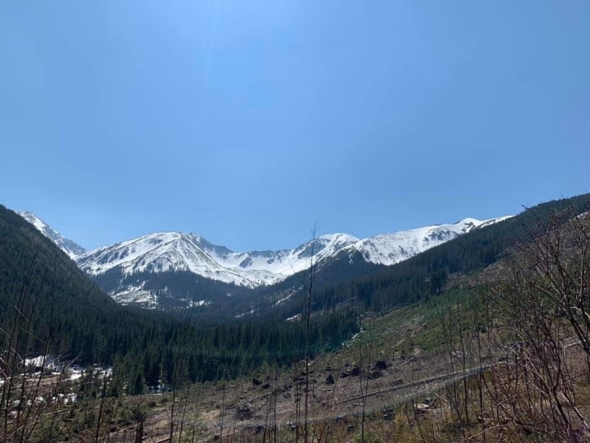 Tatry. Dolina Chochołowska pełna krokusów. I bez tłumu turystów 