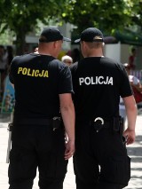 Policja Jelenia Góra: wandal zatrzymany