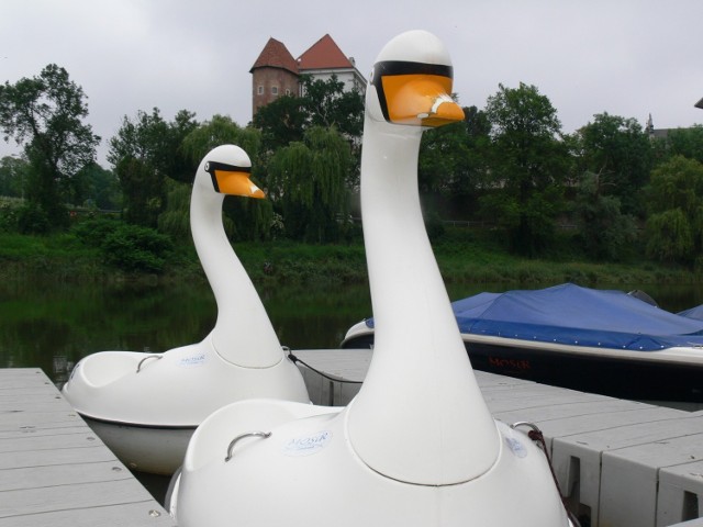 Sandomierz zaprasza na weekend  do starego  portu rzecznego nad Wisłą. Czekają rowerki, kaczki, kajaki i łódki