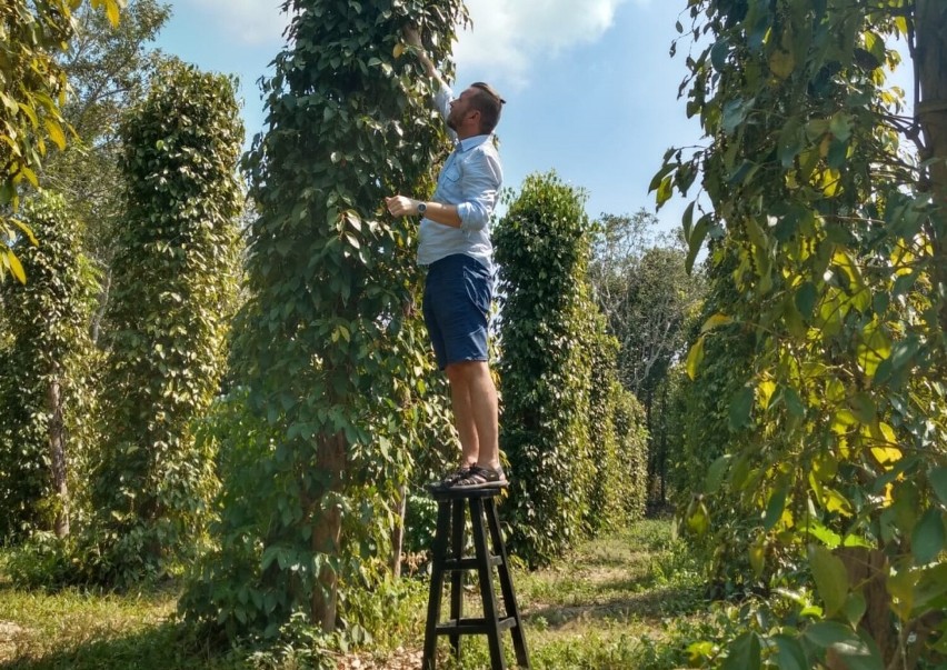 Jędrzej Majka na plantacji pieprzu; Wietnam