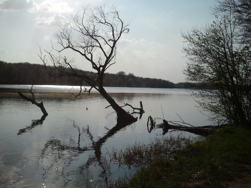 Jezioro Rusałka - miejsce na wielkanocny spacer w Poznaniu