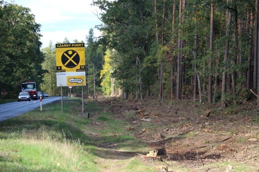 Buduje się ścieżka rowerowa pomiędzy Otyniem a Zatoniem