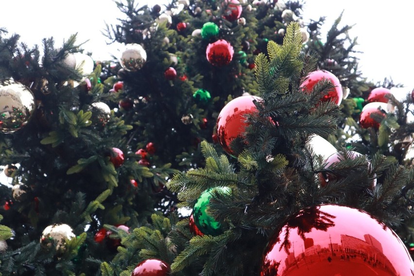Największe łódzkie drzewko rozbłyśnie razem ze świąteczna iluminacją na ul. Piotrkowskiej 