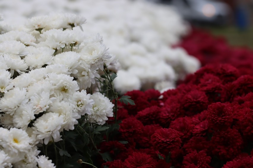 Delegacje złożyły kwiaty pod pomnikiem Powstańców...