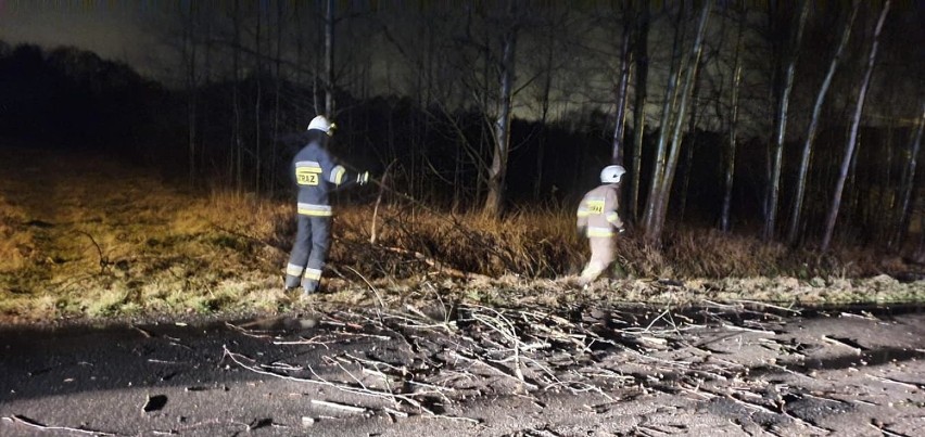 Skutki wichury. Zerwane dachy, powalone drzewa i mieszkańcy bez prądu 