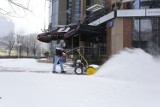 Radna apeluje o utworzenie miejsc do magazynowania śniegu. "Mógłby służyć do podlewania zieleni lub mycia ulic"