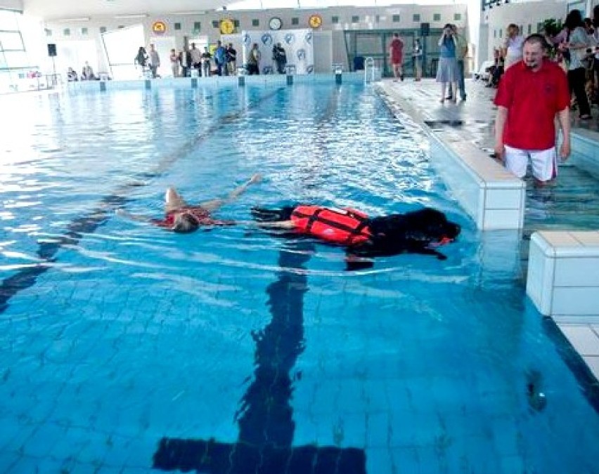 Pokaz psów ratowników na pływalni „Delfin”
