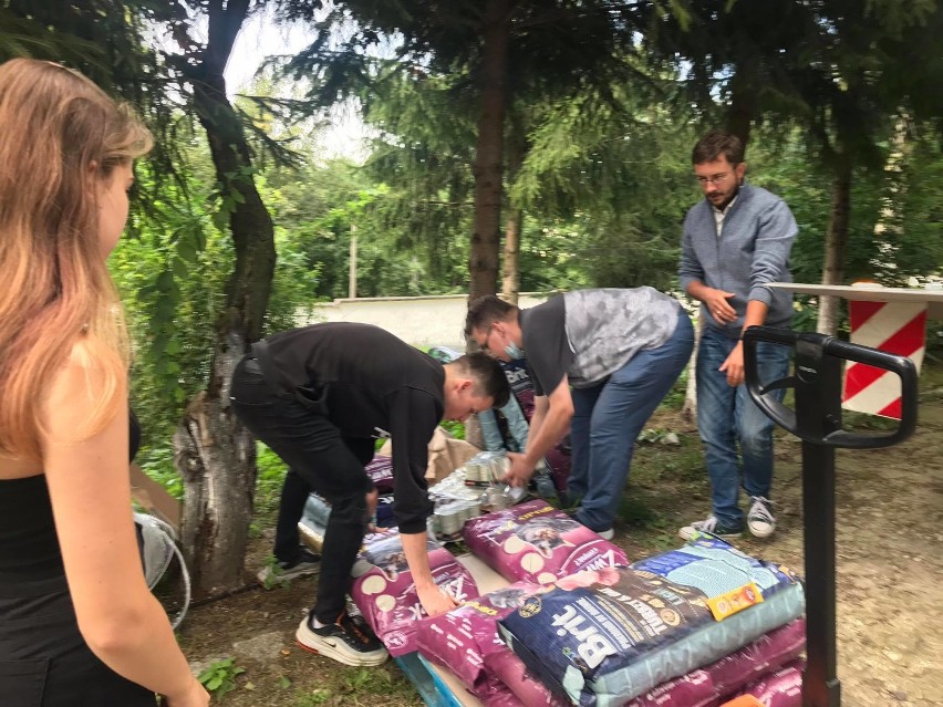 Mieszkańcy Szczawna - Zdroju i wolontariusze Toyoty wsparli wałbrzyskie schronisko dla zwierząt