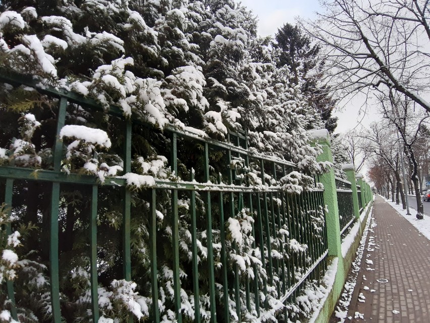 Wiosenny, poświąteczna śnieżyca w Szczecinku. Zimowo i mroźnie [zdjęcia]
