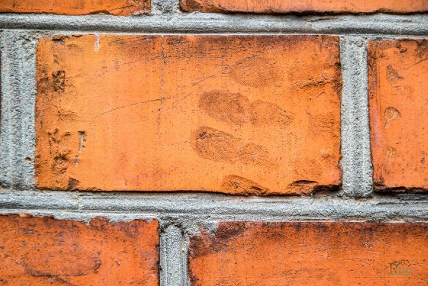 Czyje to ślady dłoni na murach białostockiej katedry? [zdjęcia]