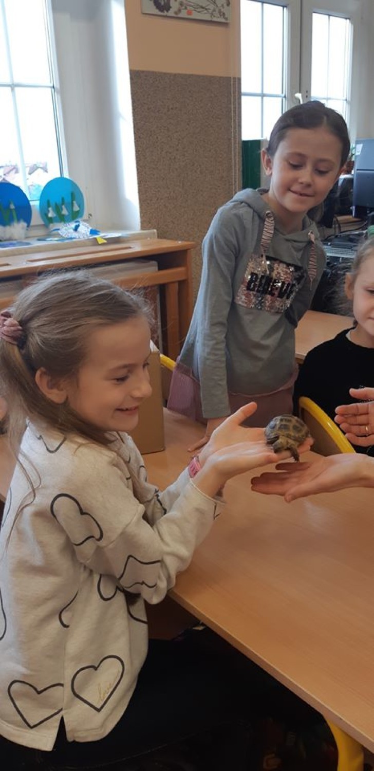 Jaszczurki i żółwie na zajęciach edukacyjnych w ósemce 