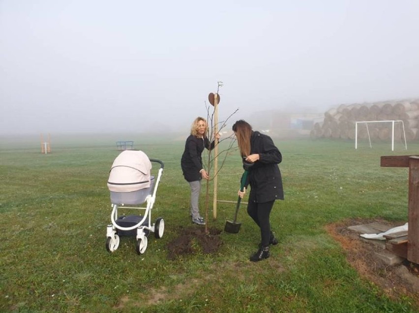 Akcja „Drzewko Życia” w gminie Śmigiel przełożona na 2021 rok