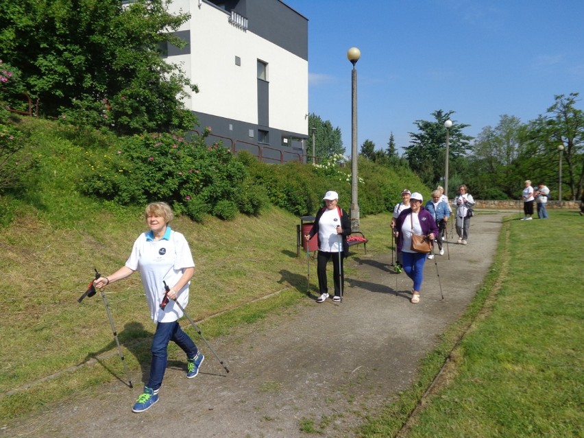 Marsz Nordic Walking studentów Uniwersytetu Trzeciego Wieku...
