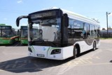 10 milionów dla MPK w Sieradzu na zakup autobusów elektrycznych