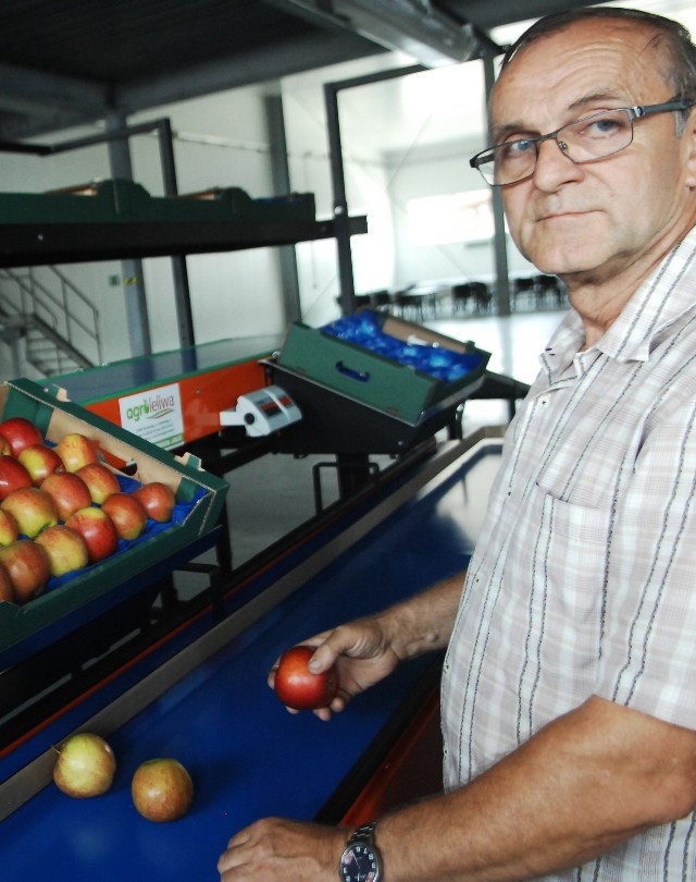 Kierownik przechowalni w Łącku Wojciech Piksa prezentuje nowoczesną maszynę, która pakuje czyste owoce do skrzynek