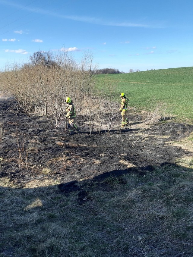 Pożary traw gasili strażacy w Lipienku i Różnowie