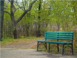 Ostrowiec Św. Skradziono ławki z miejskiego parku