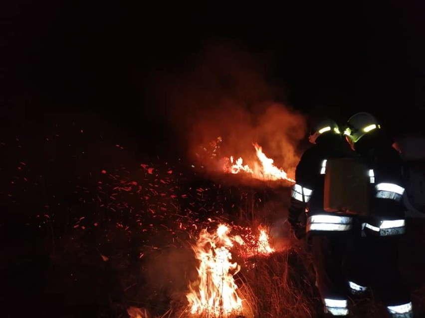 Plaga pożarów traw. Akcja gaśnicza oczami strażaka OSP Libiąż. Zobacz nagranie z kamery na hełmie [ZDJĘCIA, WIDEO]