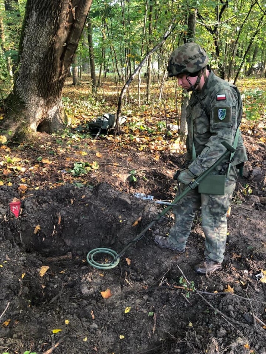 Park podworski w Skołyszynie naszpikowany materiałami wybuchowymi [ZDJĘCIA]