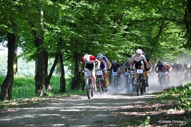 W niedzielę 26 sierpnia w Urszulinie odbędzie się festyn rowerowy &#8222;Polesie na dwóch kółkach&#8221;.