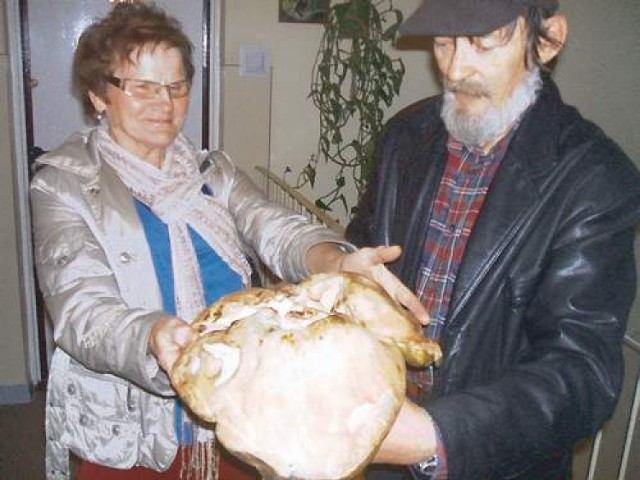 Jadwiga i Jerzy Lubczyńscy takiego prawdziwka jeszcze nie widzieli. Ważył 1 kg 800 dag
fot. Maria Doege-Ośka