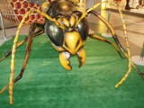 Niezwykłe owady w Focus Mall