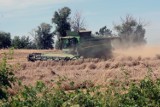 Zakończył się spis rolny 2020. W Małopolsce spisało się prawie 100 proc. ze 150 tys. gospodarstw rolnych