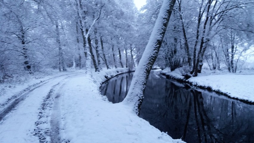 Okolica Pomiłowa w gm. Sławno