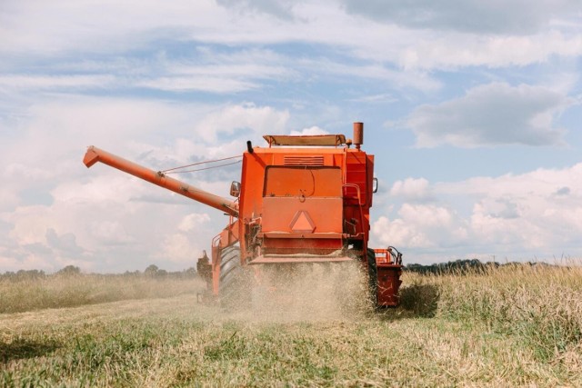 Najgłośniejszym przykładem na Opolszczyźnie jest 10 000 hektarów gruntów, dzierżawionych przez firmę Top Farms w powiecie głubczyckim.