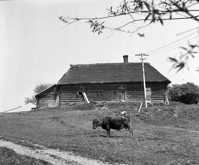 Nowa Wieś Czudecka, pow. Strzyżów, Chałupa Walentego Jacka, 1971 r.