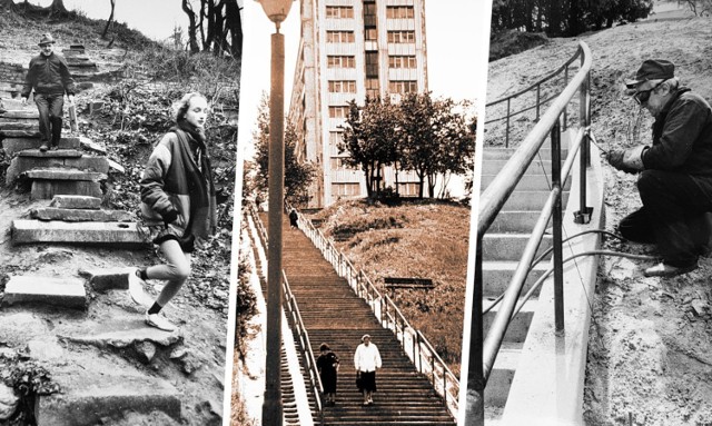 Bydgoskie schody na starych zdjęciach. Zabieramy Was w krótki spacer! 

Na fotografiach wykonanych wiele lat temu widać, m.in. schody prowadzące ze Szwederowa i Wzgórza Wolności w kierunku centrum miasta.

➤ Więcej fotografii na następnych stronach. ➤







11 lat na krótkim filmie. Tak "rośnie" cmentarz przy Wiślanej w Bydgoszczy

