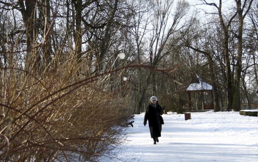 Lublin: Ogród Saski od poniedziałku będzie zamknięty przez półtora roku