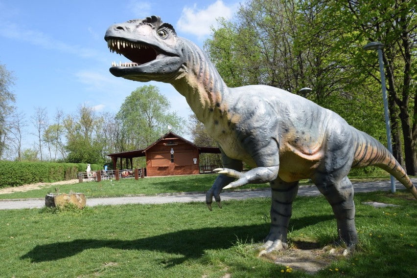 Zabawa w parku dinozaurów