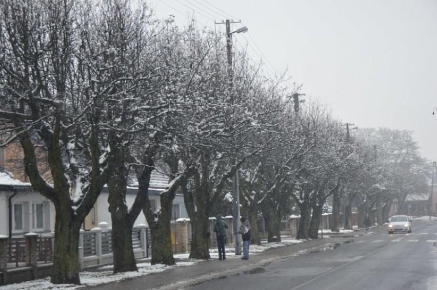 Zima na osiedlu Karsznice w Zduńskiej Woli ma wiele twarzy