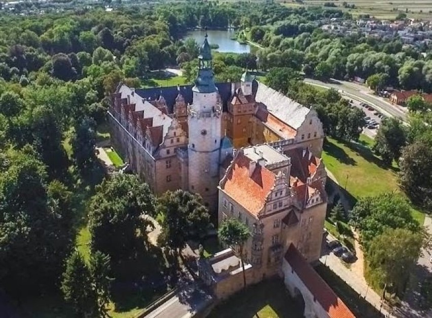 Zamek książęcy (inne nazwy zamek książąt oleśnickich, zamek...