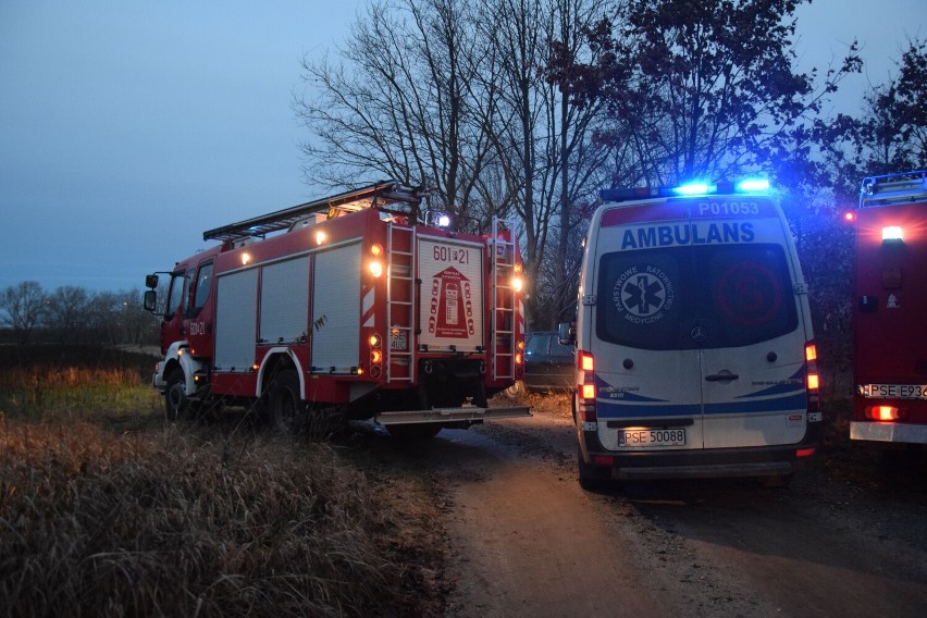 Wypadek pod Śremem! W Sosnowcu samochód osobowy uderzył w drzewo. Jedna osoba została ranna