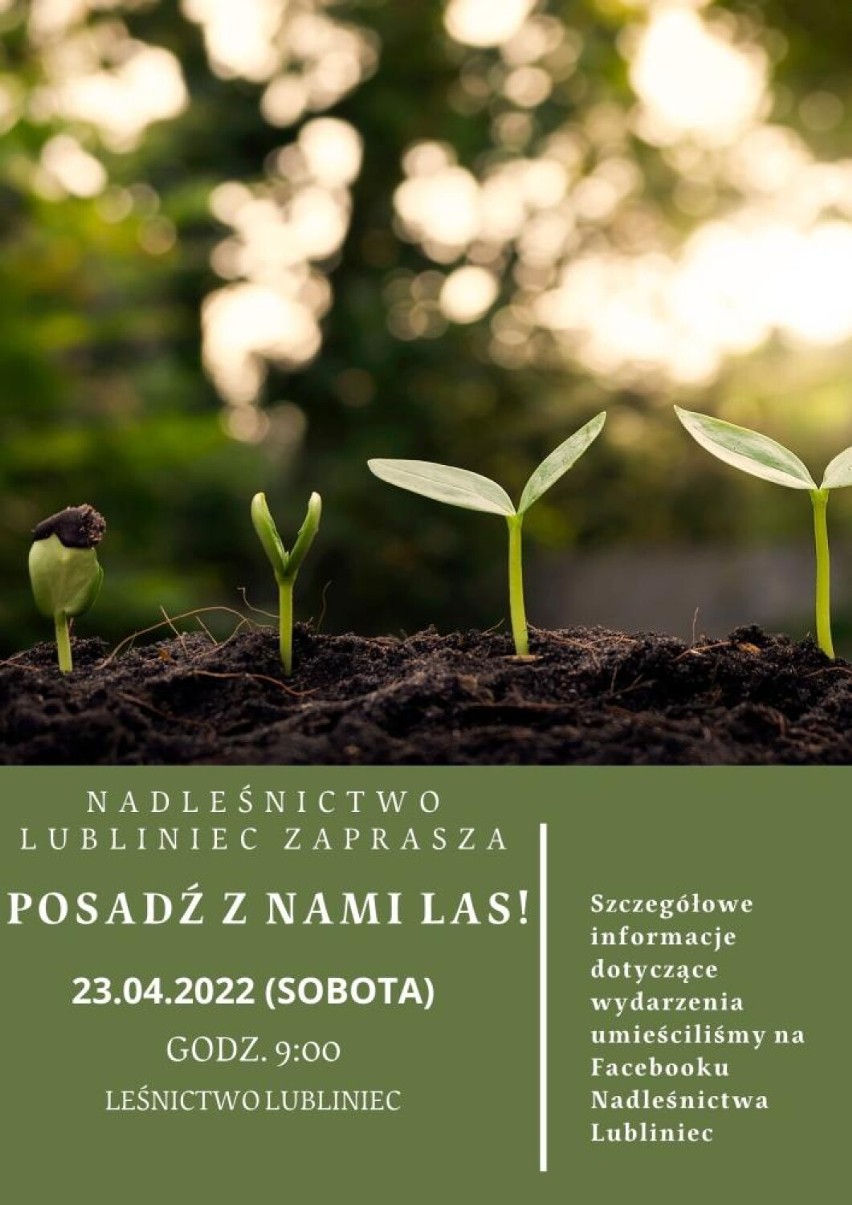 Nadleśnictwo Lubliniec zaprasza do wspólnego sadzenia lasu 