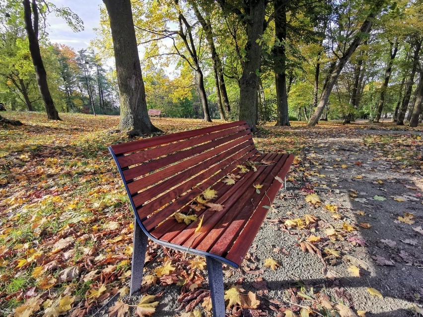 Park w Kościelcu w Chrzanowie