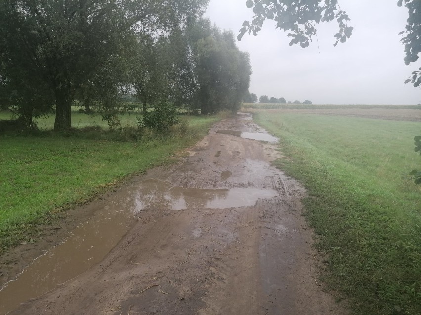 Rozpoczął się remont drogi gminnej w Niniewie