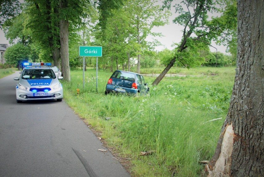 Na drodze w gminie Kołczygłowy kierowca seata uderzył w drzewo i uciekł (zdjęcia)