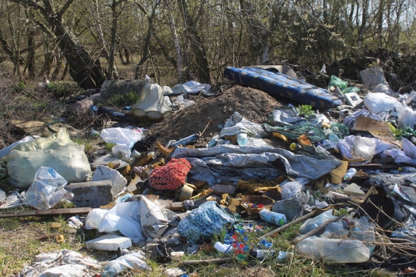 Dzikie wysypisko śmieci w Kobylnicy [zdjęcia]