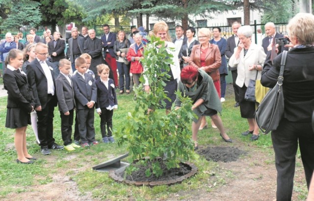 Zasadzono dąb upamiętniający jubileusz 100 rocznicy istnienia szkoły.