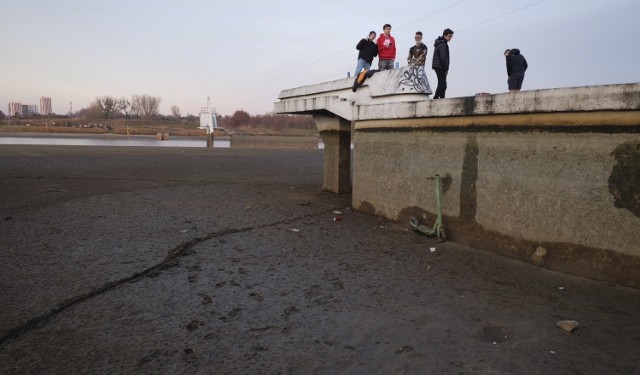 Od listopada trwa operacja oczyszczania dna jeziora Maltańskiego w Poznaniu wykonywana przez Poznańskie Ośrodki Sportu i Rekreacji. Czyszczenie jeziora co cztery lata jest konieczne, aby znajdujący się tu tor regatowy miał właściwą głębokość. Dzięki temu też sinice nie powinny tu tak często zakwitać, co powinno ucieszyć amatorów letnich kąpieli w jeziorze. Działania te pozwalają także na oczyszczenie dna zbiornika ze śmieci i namułów. Obecnie w jeziorze niemal już nie ma wody. Niecodzienny widok chętnie przychodzą podziwiać poznaniacy. 

Zobacz zdjęcia ---->