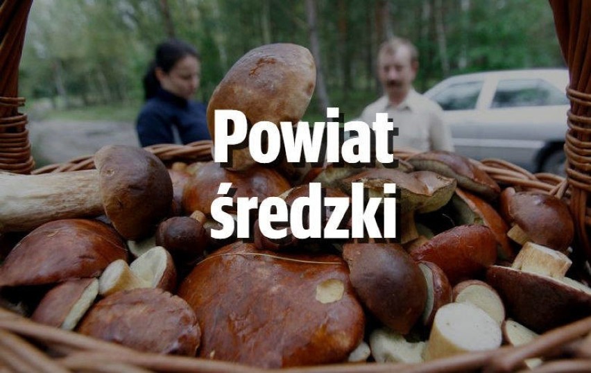 Obecnie brak doniesień o grzybach w tym powiecie.

Następny...